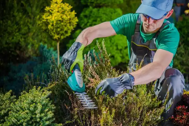landscaping services Greenvale